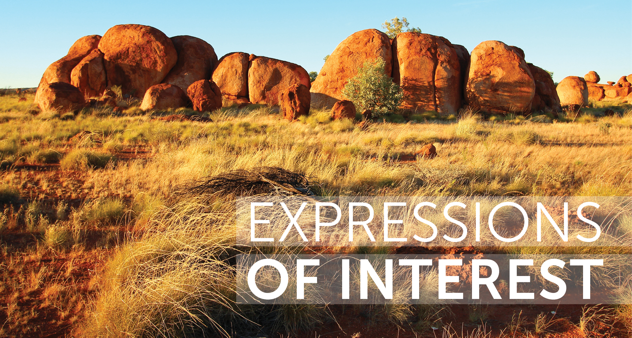 Expressions of Interest | EIANZ Casual Board Vacancy